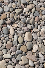 Spiaggia di sassi chiari