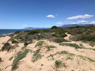 Dunas de Artola and Playa Cabopino Grass and sandy beach on the coast of Andalucia Spain. Cabopino area protected coastal park by the Mediterranean Sea. Beautiful blue sky and white clouds in the sky.