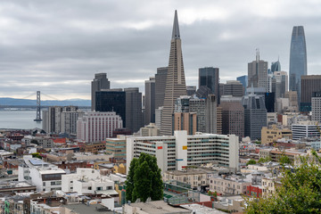 Fototapeta na wymiar San Francisco cityscape and skyline