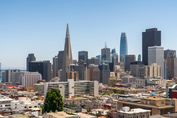 Naklejka premium San Francisco cityscape and skyline