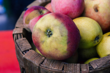 Apples in the basket. Ripe fruits outdoors. Harvested in the garden. Fresh and juicy apples with a high content of vitamins