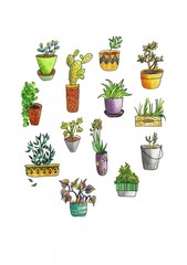 Set of houseplants, on a white background