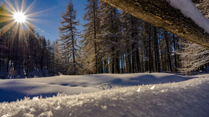 Paysage hivernal Hautes-Alpes Queyras France