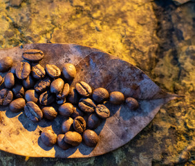 close up of coffee beans 