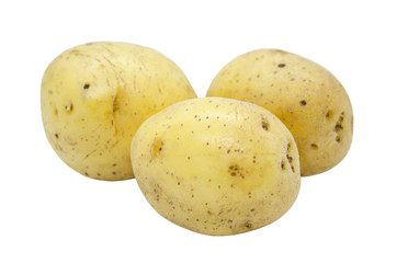 Potatoes tuber close up isolated on a white background. Vegetables, natural product.