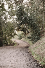 road that leads to mystery 