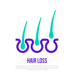 Obraz premium Trichology: hair loss thin line icon. Hair follicles in different cycles. Vector illustration.