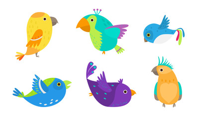 Set of small colorful tropical birds and parrots vector illustration