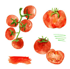Watercolor set of red tomatoes.