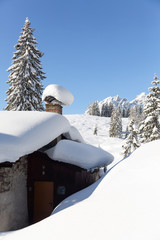 Fototapeta premium Picturesque winter scene with traditional alpine hut and snowy forest. Sunny frosty weather with clear blue sky. Vertical shot