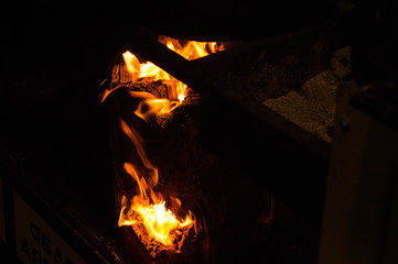 Obraz premium Firewood burns in a fire