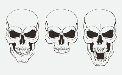 Set of skulls in different positions