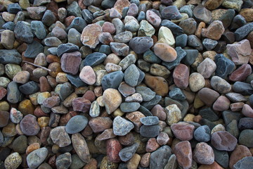 Multi-colored stones in the frost covered with hoarfrost