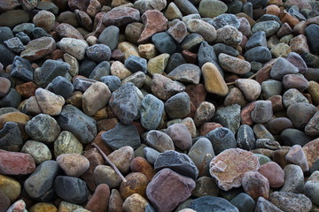 Multi-colored stones in the frost covered with hoarfrost