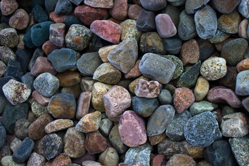 Multi-colored stones in the frost covered with hoarfrost