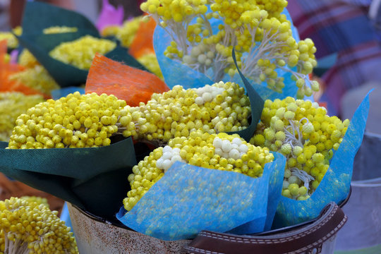 A typical Kythira suvenir are the flowers called 'Sempreviva'