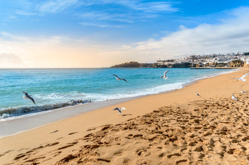 Fototapeta na wymiar Seagulls flying over sandy beach in Albufeira resort village in Algarve, Portugal.