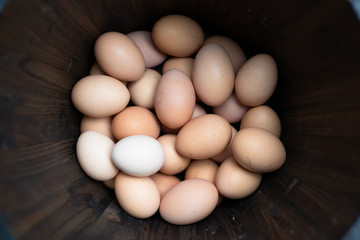 Farm fresh brown eggs