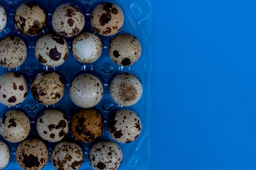 Quail eggs in a transparent plastic container on a blue background. Top view, blue background. Eggs in speckled plastic container. Place for text, lettering, copy space.
