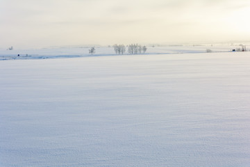 Beauty of nature in winter