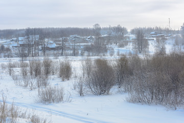 Beauty of nature in winter