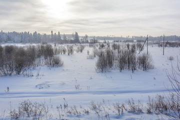 Beauty of nature in winter