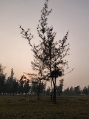 Oneplus 6 photography by Rahul Patel