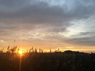 Fototapeta premium norfolk broads