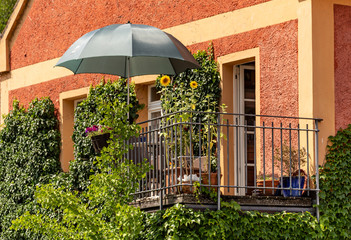 Overgrown balcony with sun flowers and a parasol - obrazy, fototapety, plakaty