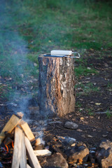 Fototapeta premium Using a power Bank to charge your phone and gadgets in the field. White portable battery charges on a backpack, on a stump, on a tourist Mat.