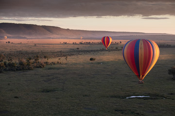 hot air balloon in the sky