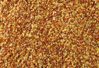 French mustard spreading background and texture 