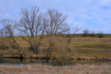 Landscape. Trees and dry grass along the shore of a small river in late autumn.