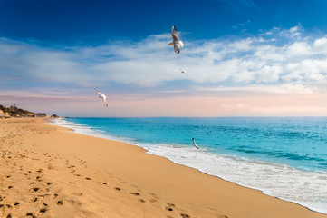 Fototapeta premium Seagulls flying over sandy beach in Albufeira resort village in Algarve, Portugal.