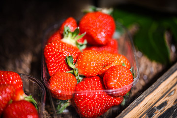 fresh strawberries close up view