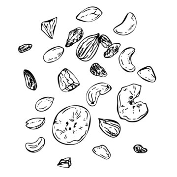  Sketch mix of different nuts and dried fruits. Hand drawn illustration of  nuts, cashews, peanuts, hazelnut, raisins, almond, banana isolated on white