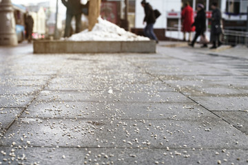 city public service sprinkled slippery pavement with salt