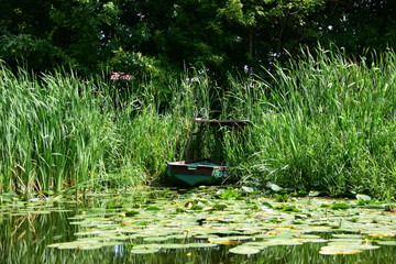 Łódka w rzecznych szuwarach w letni pogodny dzień. © W Korczewski