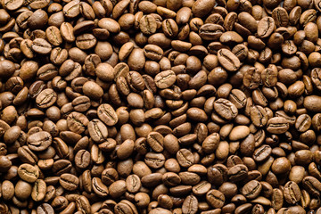  coffee grains