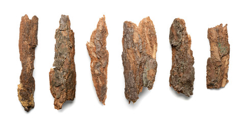 Tree Bark or Garden Mulch Isolated on White Background