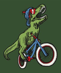 Fototapeta na wymiar T-rex riding bicycle - funny dinosaur character vector illustration.