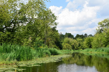 Wycieczka brzegiem rzeki wśród zielonych drzew i krzewów w letni pogodny dzień.