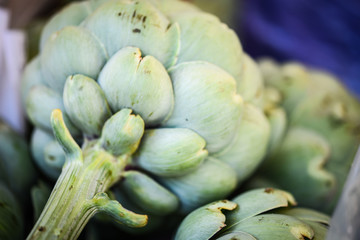 fresh artichoke close up view