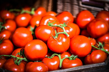 fresh tomatoes within the parisian market