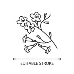 Plumeria pixel perfect linear icon. Ipe tree. Tropical blossom. Brazilian flower. Botany. Thin line customizable illustration. Contour symbol. Vector isolated outline drawing. Editable stroke