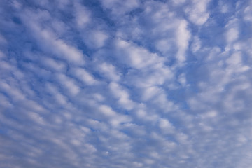 Fototapeta premium abstract background of white fluffy clouds on a bright blue sky