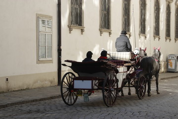 Fototapeta na wymiar Horse and carriage on the street of Vienna