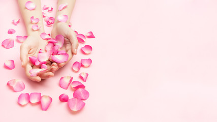The woman hands hold rose flowers on a pink background. A thin wrist and natural manicure. Cosmetics for a sensitive skin care. Natural petal cosmetics, anti-wrinkle hand care.