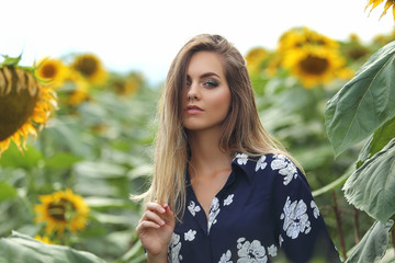 A young beautiful woman in a sunflower