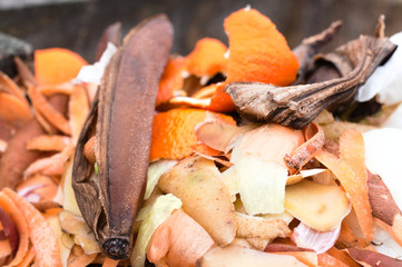 A bunch of food scraps for composting in a wooden container. Banana peel in main focus next to tangerine peels and potato scraps.